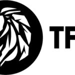 The Fittest Experience logo